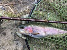 Abu Garcia Prút Diplomat Nano MGS XULS 1,83 m 0,3-2,5 g (5)