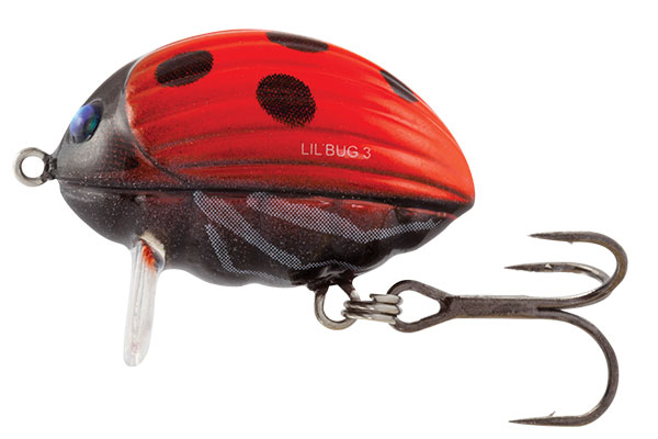 Salmo wobler lil bug floating ladybird 2 cm 2,8 g