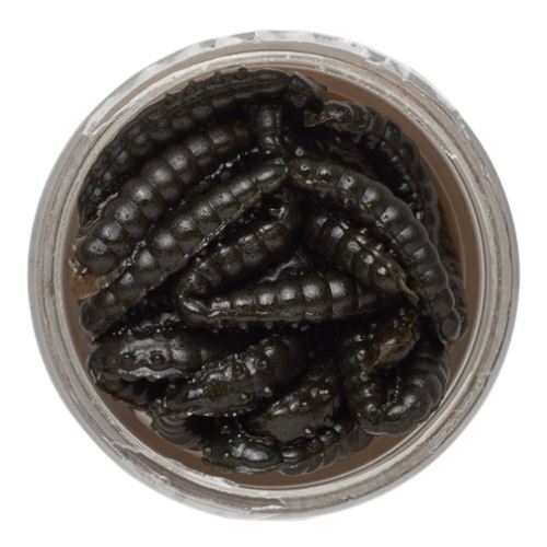 Berkley Gumová Nástraha PowerBait Power Honey Worm 2,5 cm 25 ks Black