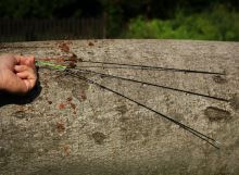 Giants fishing Prút Black Method Feeder 3 m 40-90 g (2)