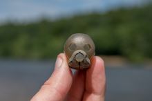 Matrix Swivel Feeder Stems x2 (9)