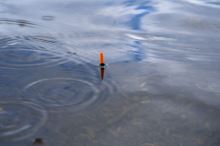 Korum Plavák Pro Quill (4)