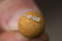 Korum Zarážky Smokescreen Speci Quick Stop Kit 12 ks (2)