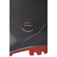 PROS Brodiace Topánky Strong WR02 (6)