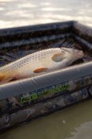 Fox Podložka Carpmaster Air Mat (15)