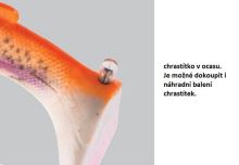 Savage Gear Gumová Nástraha 4D Rattle Trout Hrkajúci Pstruh Golden Albino (1)