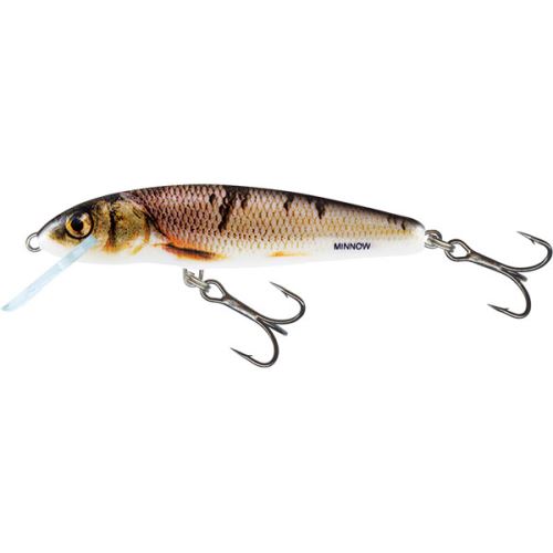 Salmo Wobler Minnow Floating Wounded Dace