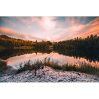 JRC Prút Rova 2,7 m (9 ft) 3,25 lb (6)