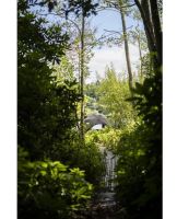 Avid Carp Brolly HQ Dual Layer Brolly System (9)