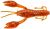 Gunki Gumová Nástraha Hourra Craw Earth Worm/Cinnamon 5 cm 1,4 g