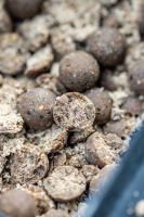 Nash Boilies Monster Shrimp (5)