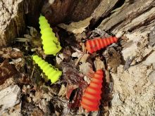 Black Cat Podvodný Plavák U Float Tree Fluo Červená (6)