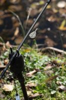 Nash Olovo Super Flat Pear In-Line Lead (4)