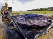 Black Cat Prút Passion G2 Spin 2,4 m 50-200 g (8)