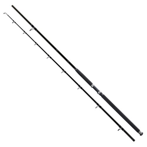 Giants Fishing Prút Deluxe Catfish 2,9 m 500 g