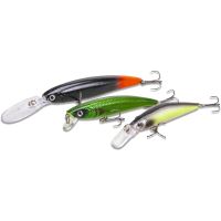 Saenger Set Woblerov Zander 1 (1)