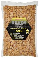 Starbaits Kukurica Ready Seeds Pro Ginger Squid - 1 kg