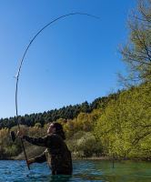 Fox Prút Eos Pro Rods 3,9 m 3,5 lb (6)