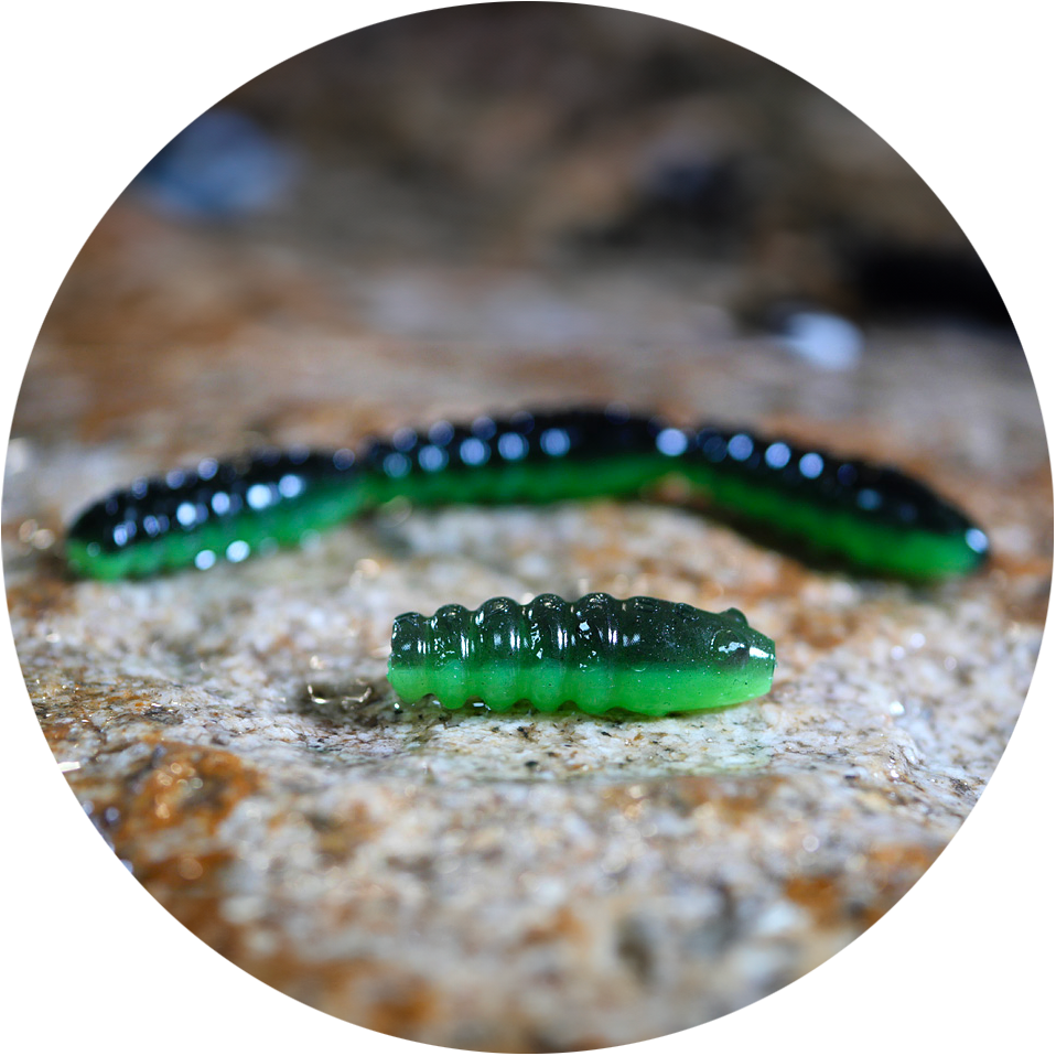 E-shop Redbass gumová nástraha trout grub black/green - 3x16 mm