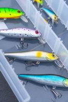 Zebco Wobler Demonic Zanderbait Rainbow 9 cm 9, (2)