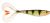 Rapala Gumová Nástraha Soft Olio PEL 18 cm 55 g