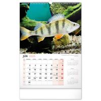 PGCZ Nástenný kalendár Rybársky 2025 SK 33×46 cm / SK (6)