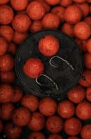 Carp Only Boilies Frenetic A.L.T. Hookbaits Chilli Mango 1 kg (1)