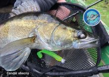 ČRS Puzzle Zuibáč Obecný