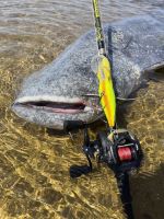 Black Cat Prút Perfect Passion Allstar Cast 2,2 m 30-130 g (8)