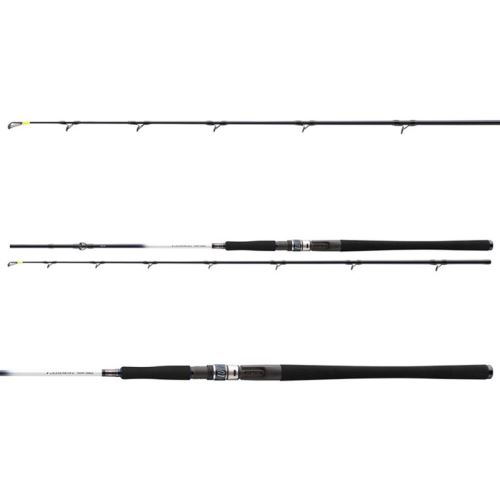 Daiwa Prút Grandwave Halibut 2,25 m 15-25 g 2 Diely