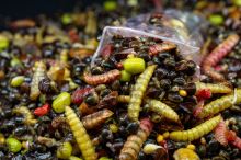 My-Baits Partikel Macromix "Wormageddon" 2 l (4)