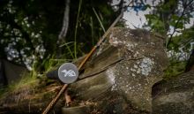 Giants Fishing Prút NovellCarp 3,66 m (12 ft) 3 lb (4)