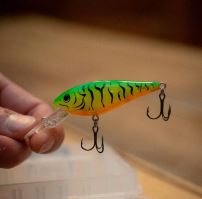 Salmo Wobler Rattlin Executors SDR Clear Green Tiger (1)