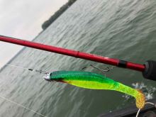 Sportex Prút Phenomen Spin 2,4 m 21-51 g (2)