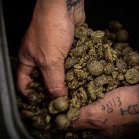 Munch Baits Boilie Bio Marine (2)