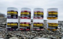 Carp Inferno Balanced Boilie Losos Mango 150 ml (5)