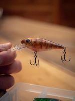Salmo Wobler Rattlin Executors SDR Clear Brown Perch (1)