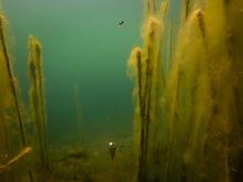 Fox Plavák Edge Zig Float Kit (8)