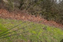 Korum Prút Allrounder Quiver 10 ft 1,1 lb 15-90 g (5)