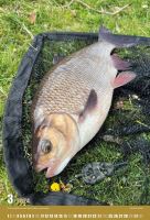 ČRS Nástenný Rybársky Kalendár Na Rok 2024 (3)