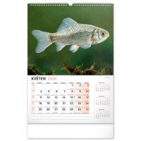 PGCZ Nástenný Rybársky Kalendár 2026 CZ 33x46 cm (6)