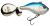 Berkley Nástraha Pulse Spintail XL Blue Silver