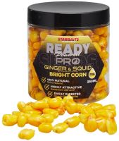 Starbaits Kukurica Bright Ready Seeds 250 ml (2)