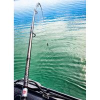 Penn Prút Legion Cat Silver Allround 3 m 100-300 g (8)