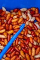 Preston Innovations Vyslobodzovač Bander Disgorger Twin Pack (7)