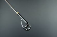 Sportex Prút Absolut Level 3 Baitcast 2,1 m 3-19 g (13)