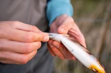 Berkley Gumená Nástraha Powerbait Chop Block Albino Trout (4)