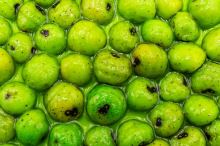 My-Baits Tigrí Orech RainbowSix Fluoro Tigernuts 150 ml Holy Crab (4)