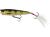 Westin Wobler Spot-On Popper Floating Real Perch 6,5 cm 7 g