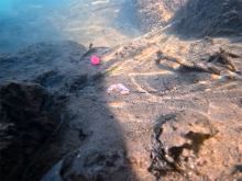 Delphin Olovená Záťaž CyberBARBED TUBE (3)